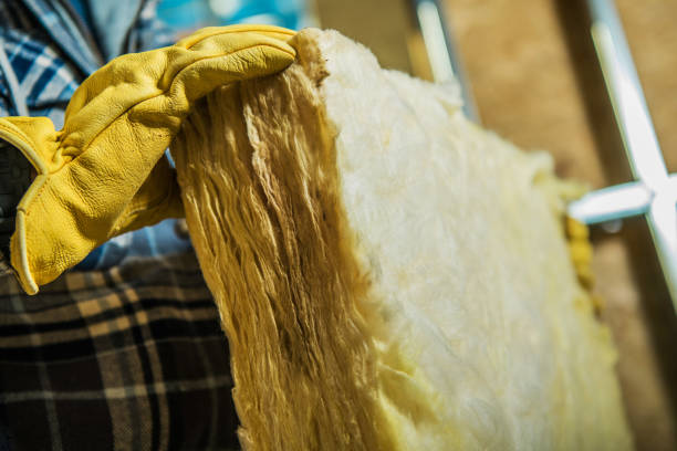 Best Eco-Friendly Insulation in Saxon, SC