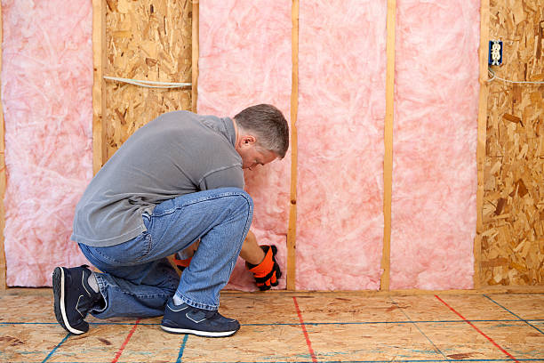 Best Geographic-Specific Insulation Services in Saxon, SC