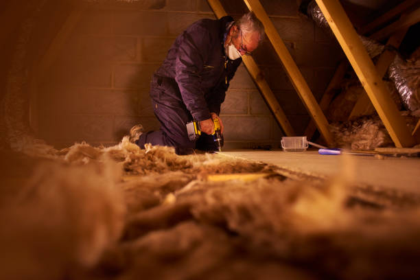 Best Insulation Maintenance and Repair in Saxon, SC