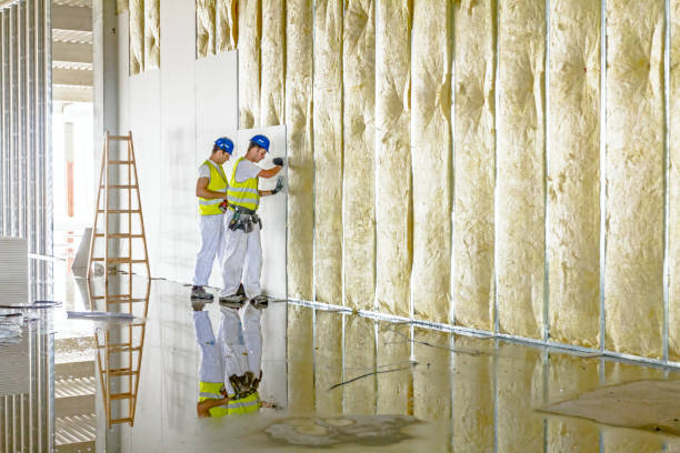 Types of Insulation We Offer in Saxon, SC
